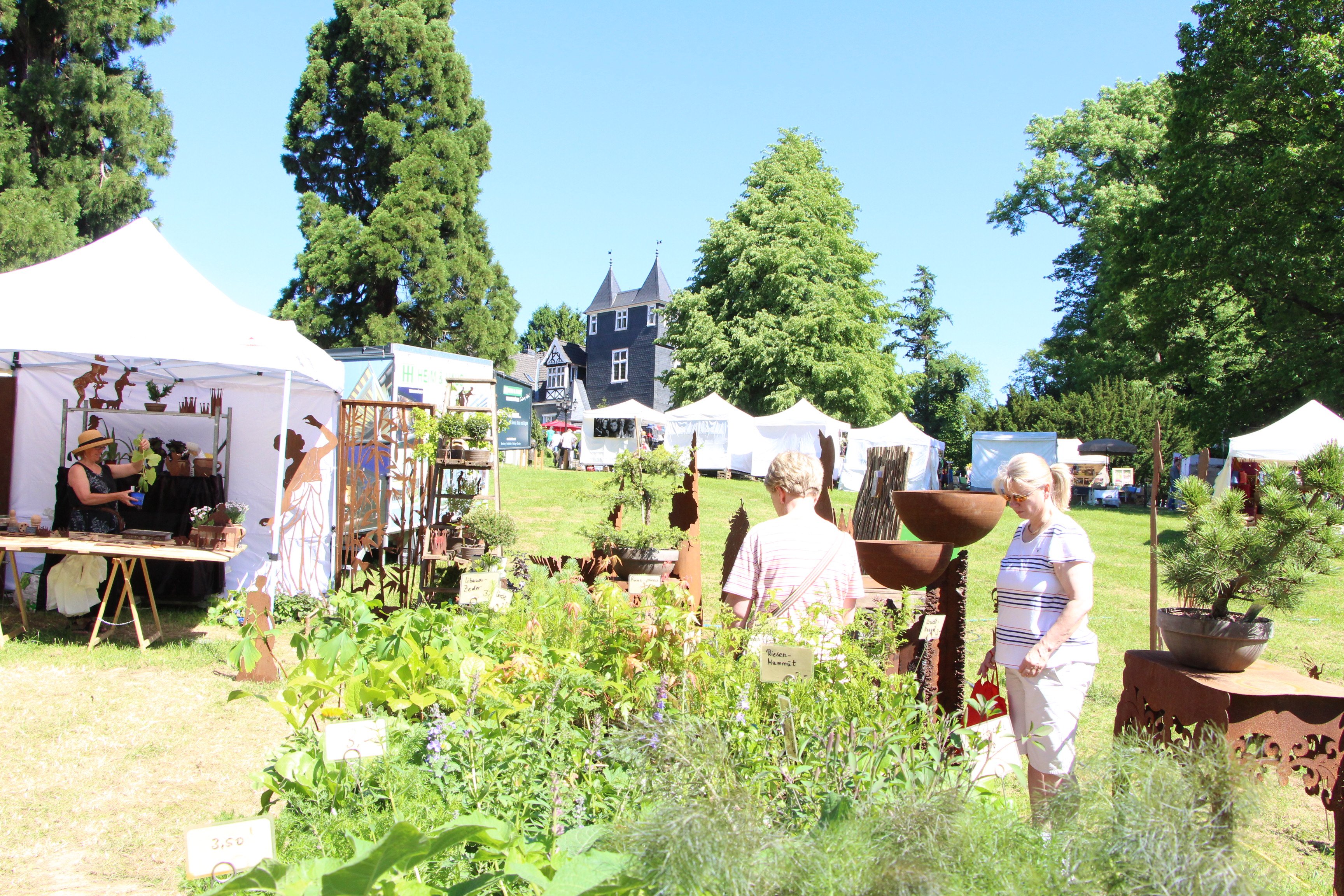 Schloss Grunewald Openmind Managementservice